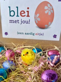 Brievenbuspakket Pasen is een super origineel en vrolijk Paas cadeautje, bezorgd door de brievenbus. Succes gegarandeerd!